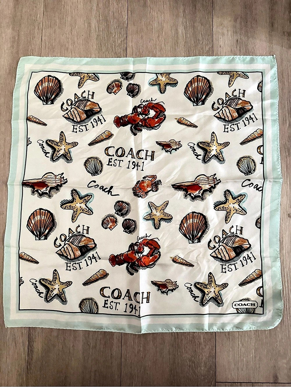 Vintage COACH “By the Sea” Scarf